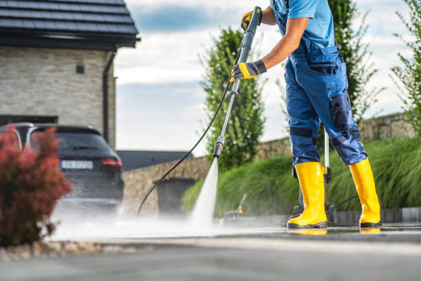 Best Solar Panel Cleaning  in Daleville, IN